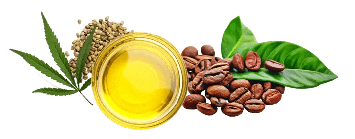 grains de café, feuille de chanvre, huile, graines et feuilles