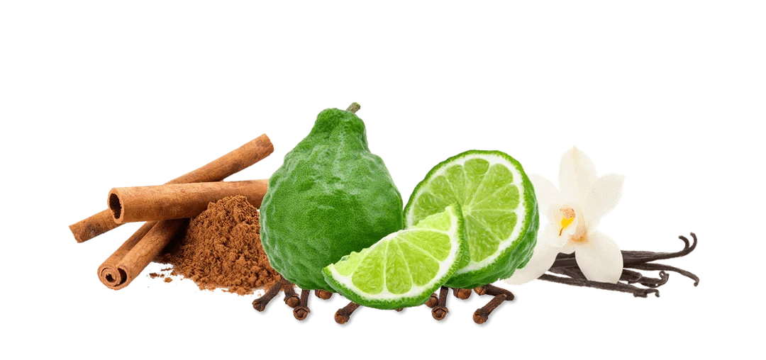 citron vert, cannelle, vanille