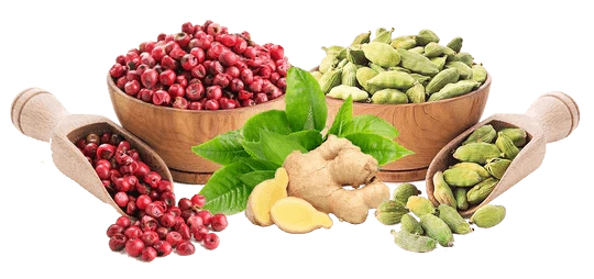 cranberries, gingembre, feuilles, graines etc.