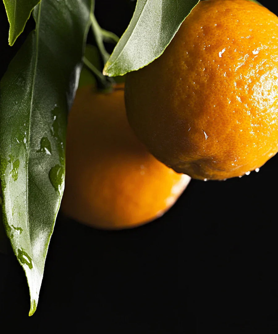 Mandarine